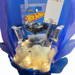 Ramo hot wheels 1