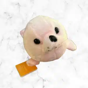 Foca