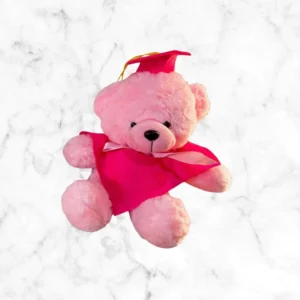Oso graduado clásico